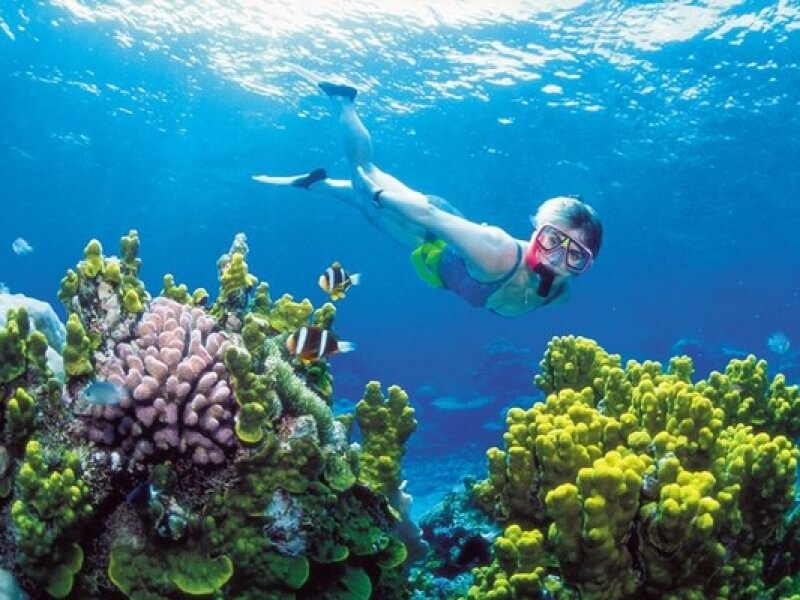 phu quoc snorkeling