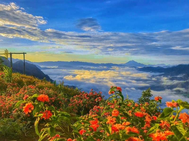 Ruộng bậc thang lúa chín vàng, thể hiện thời tiết Mai Châu mùa gặt