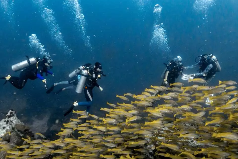 lặn biển koh tao - khóa học PADI Open Water