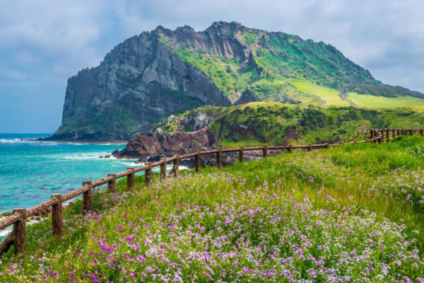 dao-jeju
