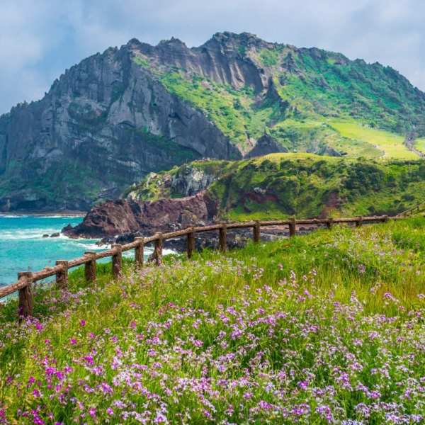dao-jeju
