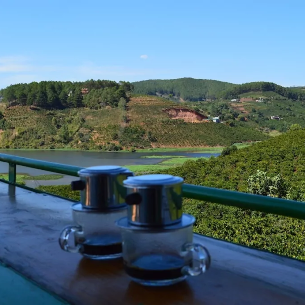 dalat-coffee-plantation