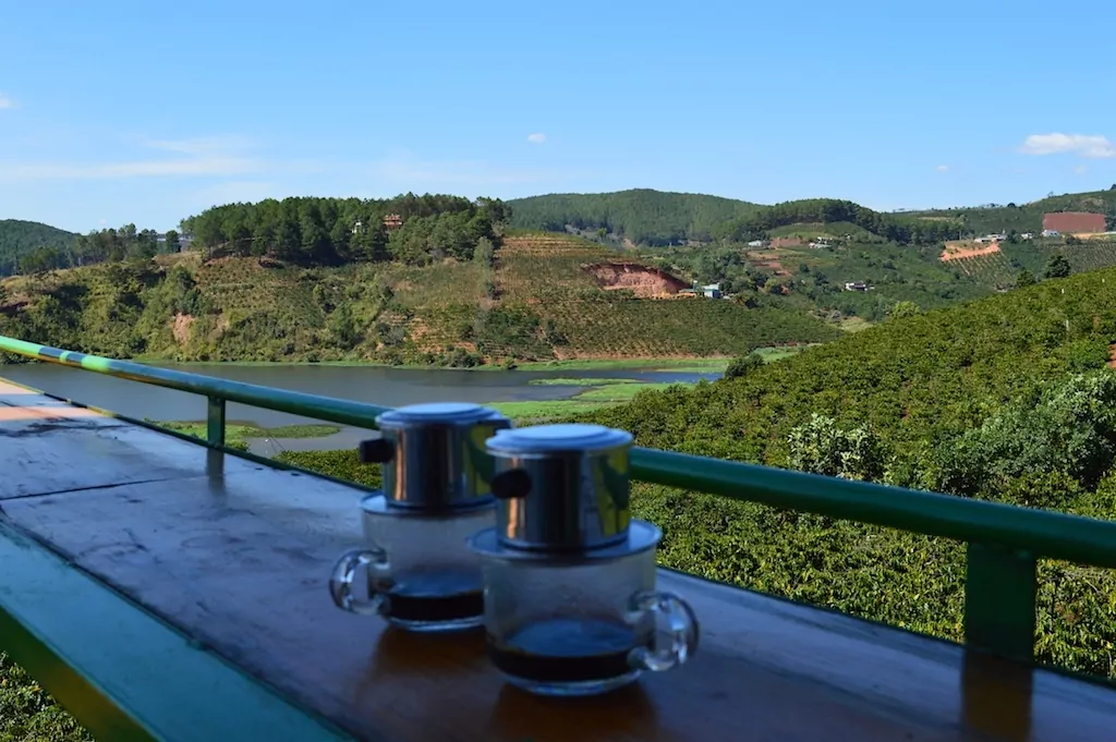 dalat-coffee-plantation