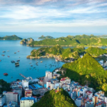 Du Lịch Cát Bà 3 Ngày 2 Đêm: Hành Trình Khám Phá Vẻ Đẹp Hoang Sơ