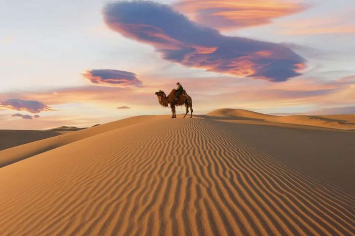 cưỡi lạc đà sa mạc gobi