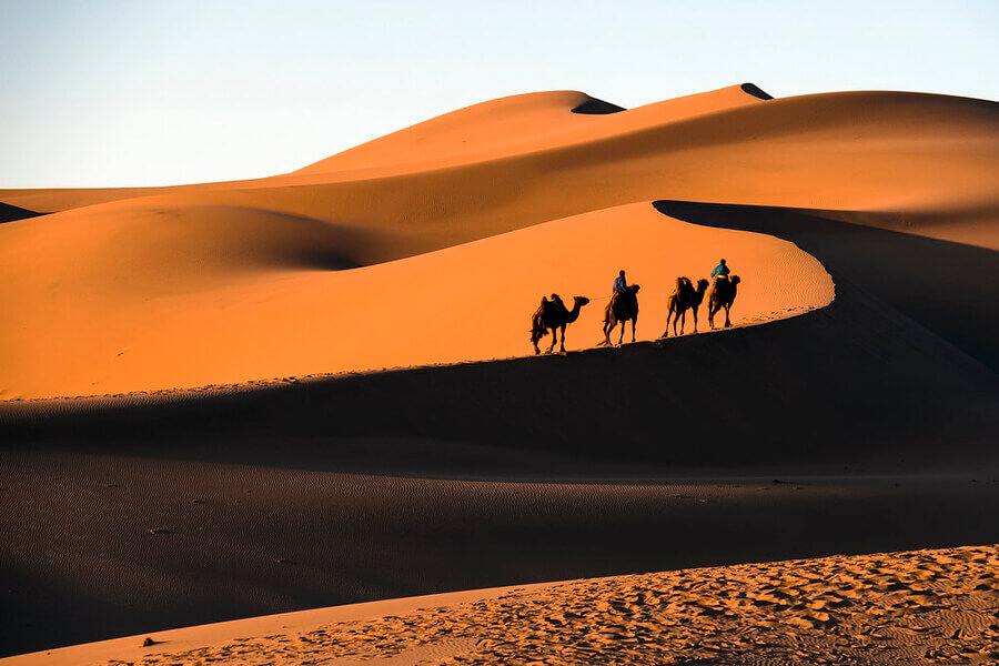 sa mạc gobi nội mông