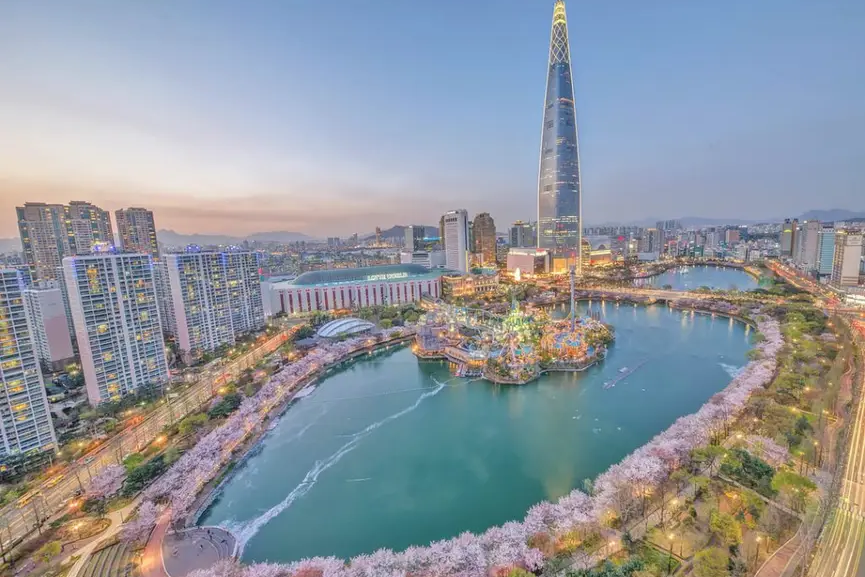 ngắm hoa anh đào hồ seokchon