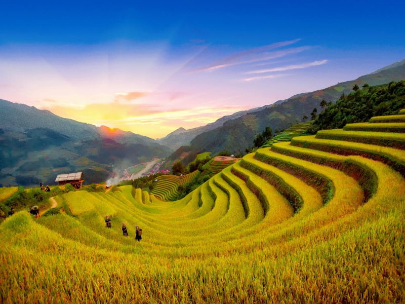 Terraced Sapa rice fields in the highlands