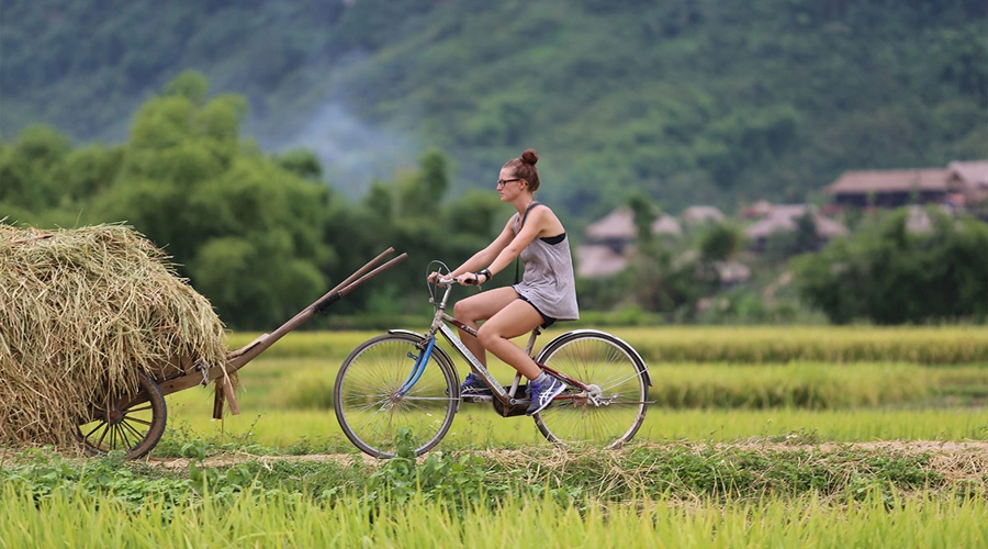 Đạp xe giữa ruộng bậc thang với thời tiết Mai Châu dễ chịu