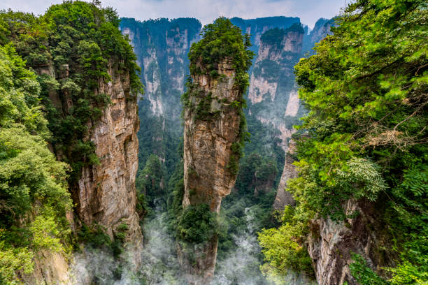 núi thiên tử trương gia giới