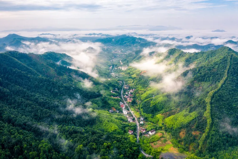 công viên quốc gia thiên mục sơn